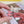 PERMA 130PCS Blooming Reverie I — Ruby • Fervent Love