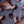 Pre-order 321PC | Milk Away the Blues | Glitter Sequin Finish