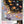 Unlock the Universe(Pre Order)